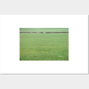 Green Green Grass Of Home Posters and Art